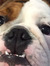 Amy