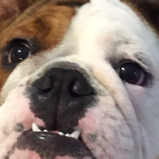 Amy