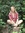 Grace White (gee_____________) | 2 comments