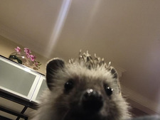 &#x1f331;juli&#x1fab4;