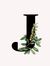 Joves