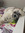 Renee (reneegrinyer) | 21 comments