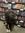 Mia Piccuta | 4 comments