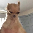 Em