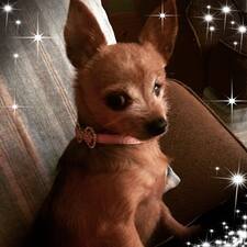 Natalie Lewis - Anthony