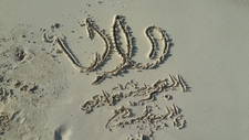 Dalia Elmogy