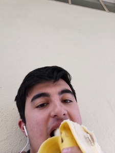 A. H.