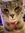 member photo member photo