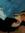 member photo member photo