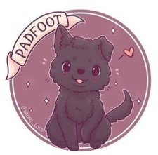 Padfoot