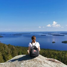 Enni Linnavirta