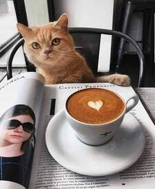 Галя Паралесова