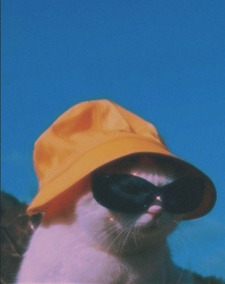 Nat