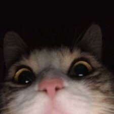 eve