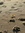Sandy Jeffery | 12 comments