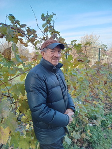 Василь Степаненко