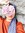 Haloda