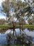Kerryn