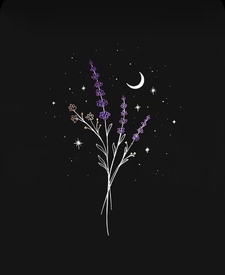 ｡°✧* ᴴⁱᶠᶻᵃʰ *✧°｡