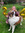 member photo member photo