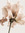 Jolie Kennedy  | 1 comments