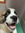 member photo member photo