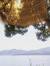 reren_79