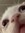 Beatriz