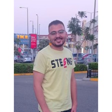 Hesham Elmogii