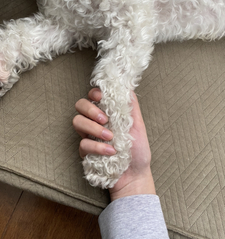 ✨Achieving My Book Goals✨