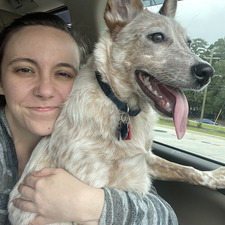 Hayley Harrington Boyce