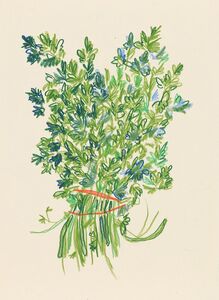 Hannah Rich
