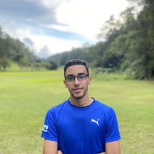 Amr Halawa