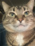 Amy