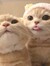 Itfh24