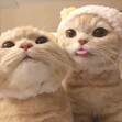 Itfh24