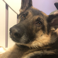 Erik