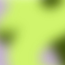 Ploypilin Pruekcharoen