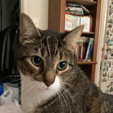 Samantha