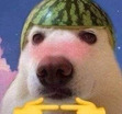 nltnnnn nltnnnn