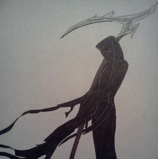 SheReaps - Teresa Williams