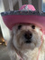 aimee