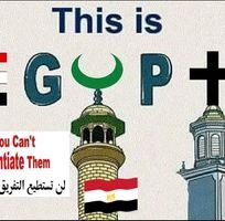 رامى الروبى