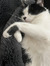 Tatiana...