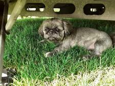 Beth Jackson-D'Zacchaeus