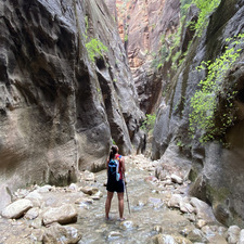 Becca
