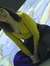 Maryna