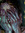 Tia Haider