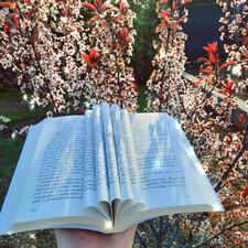 Sarah Mesbelles.lectures 