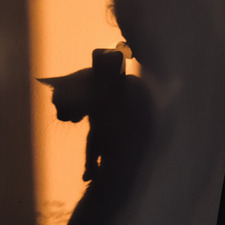 Nikolett Szigyártó